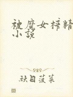 被魔女榨精爽死小说封面