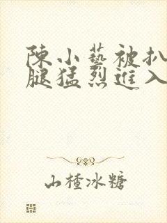 陈小艺被扒开双腿猛烈进入