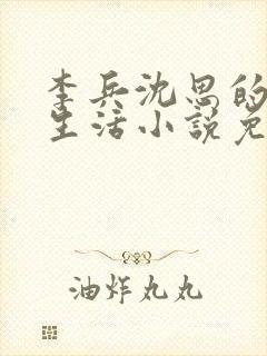 李兵沈思的快乐生活小说免费阅读