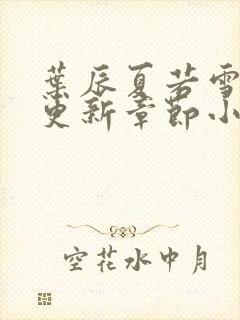 叶辰夏若雪最新更新章节小说免费阅读