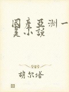 国产亚洲一区欧美小说