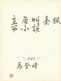 主角叫秦枫的都市小说