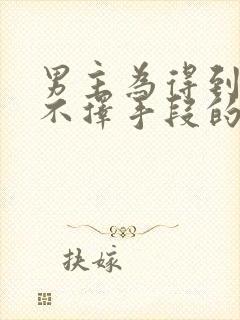 男主为得到女主不择手段的古言