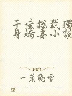 千亿总裁独宠替身娇妻小说阅读