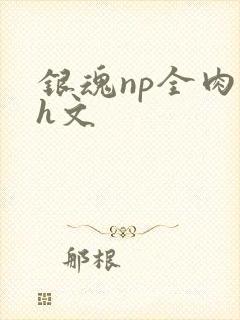 银魂np全肉高h文