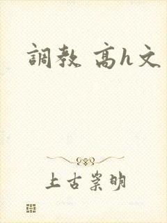 调教 高h文