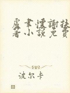 卢聿怀谢扶盈原著小说免费阅读