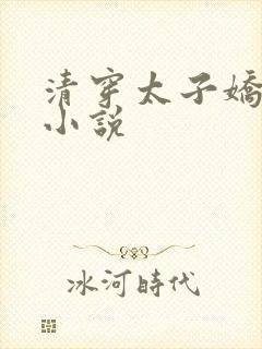 清穿太子娇妃的小说