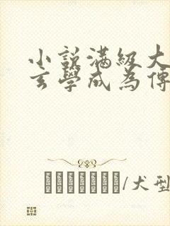 小说满级大佬靠玄学成为传说