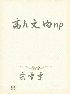 高h文肉np
