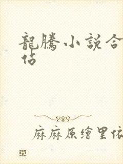 龙腾小说合集网站