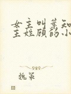 女主叫叶知秋男主姓顾的小说封面