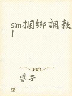 sm捆绑调教91
