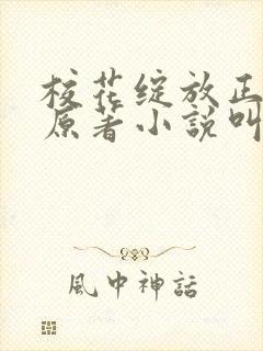 校花绽放正艳时原著小说叫什么名字