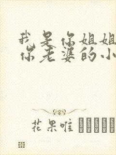 我是你姐姐不是你老婆的小说