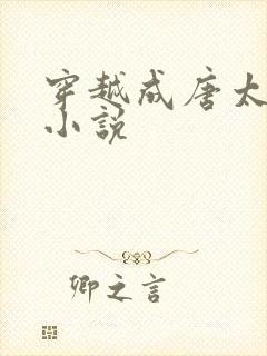 穿越成唐太子的小说