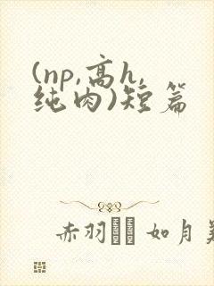 (np,高h,纯肉)短篇