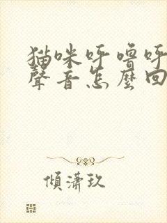 猫咪呼噜呼噜的声音怎么回事