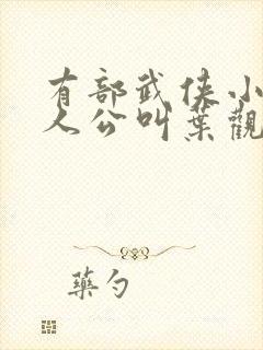 有部武侠小说主人公叫叶观的小说