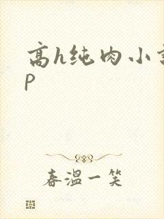 高h纯肉小说np