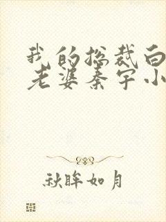 我的总裁白富美老婆秦宇小说正版