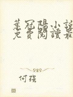 叶冠阳小说全文免费阅读最新章节