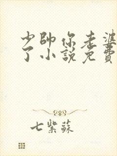 少帅你老婆又跑了小说免费阅读