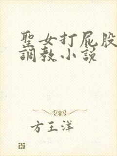 圣女打屁股sp调教小说封面