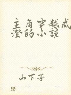 主角穿越成为高澄的小说