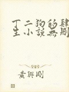 丁二狗的肆意人生小说无删减全文阅读