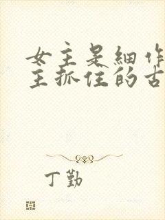 女主是细作被男主抓住的古言