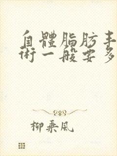 自体脂肪丰胸手术一般要多少钱啊