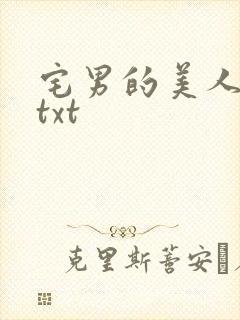 宅男的美人分身txt