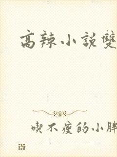 高辣小说双性封面