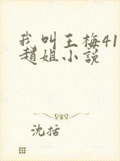 我叫王梅41岁赵姐小说封面