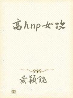 高hnp女攻