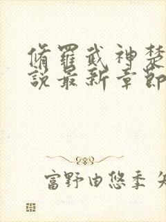 修罗武神楚枫小说最新章节精校版