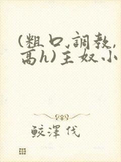 (粗口,调教,高h)主奴小说