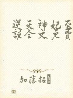 逆天神妃至上小说全文免费阅读封面