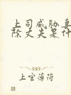 上司威胁妻子开除丈夫是什么电影免