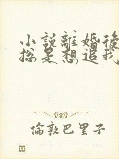 小说离婚后前夫总是想追我免费读