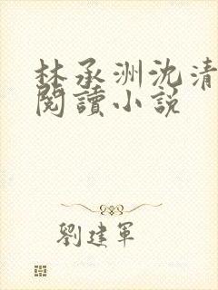 林承洲沈清免费阅读小说