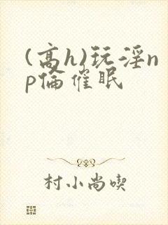 (高h)玩淫np伦催眠