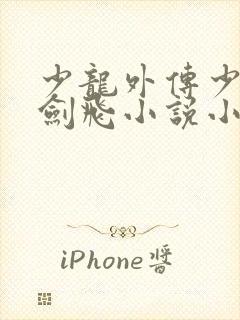 少龙外传少年龙剑飞小说小说