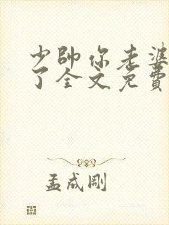 少帅你老婆又跑了全文免费阅读了