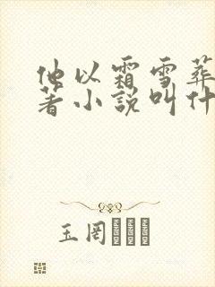 他以霜雪葬我原著小说叫什么封面