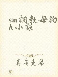sm调教母狗高h小说