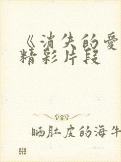 《消失的爱人》精彩片段