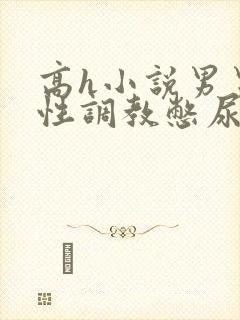 高h小说男男双性调教憋尿