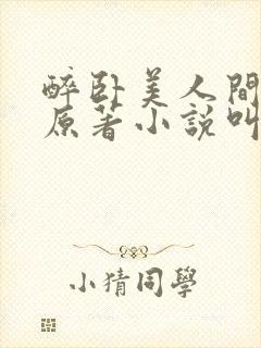 醉卧美人间小说原著小说叫什么名字